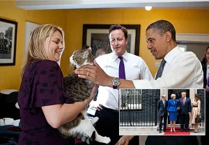 Ларри: 15 лет при власти