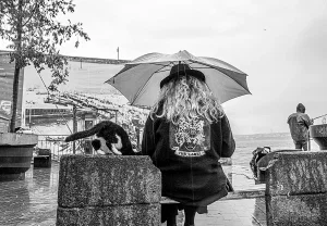 Город, где правят коты