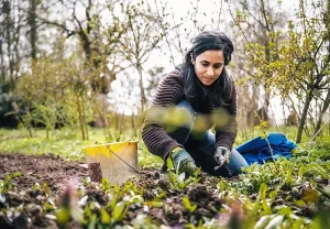 Весенний марш-бросок на грядки