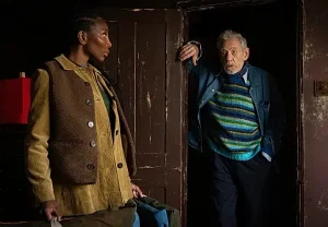 Содерберг покоряет Соному