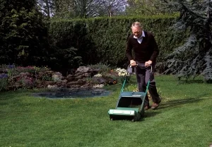 Как выбрать газонокосилку