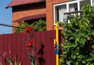 Каратель садово‑огородного режима