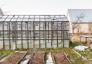 Как выгнать вредителей