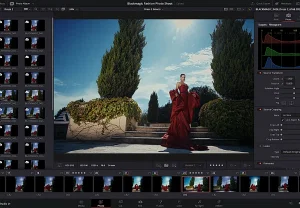 DaVinci Resolve против Adobe