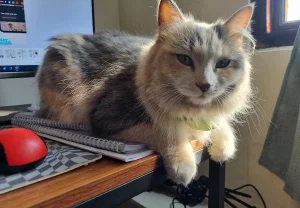 Грустное прощание: Кристал и Айви говорят "до свидания"