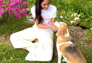 Собачий рай: как принц Гарри и Меган Маркл спасают мир с Мама Миа и Пулой