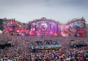 Трагедия на Tomorrowland: смерть на фоне пепелища