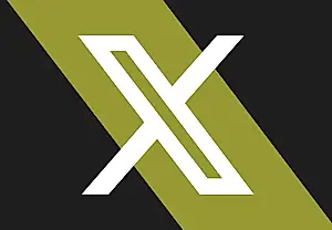 X устроила хаос с «О аккаунте»