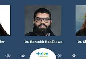Thrive Pet Care: Супергерои среди домашних питомцев