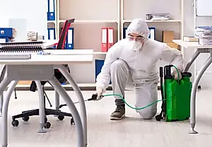 В офисе Google в Нью-Йорке нашли клопов