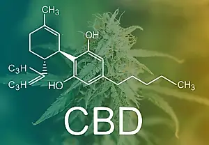 CBD усиливает негативные эффекты каннабиса при шизофрении: неожиданные выводы учёных