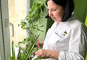 ¡Chile, qué chill! Qué plantones puedes cultivar en la ventana en invierno