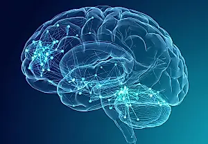Cuando el cerebro se da un atracón