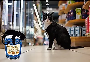 ¿Una bodega sin gato? ¡Eso en Nueva York no! Cómo los cazadores peludos de ratas se convirtieron en un problema legislativo