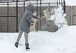 La nevada del vecino
