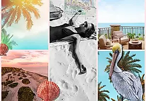 Key Biscayne: un paraíso escondido cerca de Miami