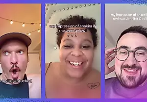 Tendencia viral: las parodias de búhos en TikTok conquistan por su absurdo