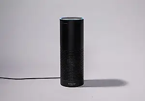 Cómo aprendió a hablar Echo