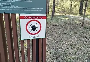 Домашний спрей от клещей