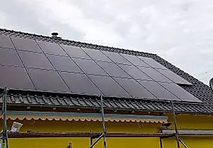 Дерево, которое греет