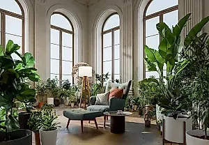 Festín de primavera para el ficus