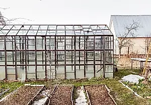Qué se puede cultivar en una parcela de vivienda y qué riesgos implica