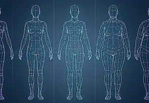 El poder oculto de las caderas femeninas: por qué el cerebro las considera el patrón de referencia