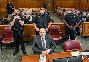 La tozudez de Weinstein