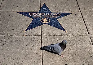 El paseo de Epstein por Washington
