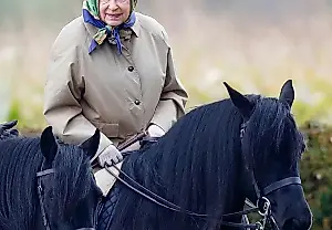 Пони королевы, который пережил её