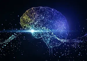 Cuando el cerebro funciona en piloto automático de alerta