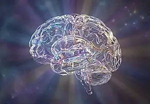 Cómo la infancia cambia el cerebro