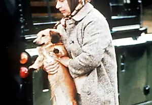 Los clones de los corgis de la reina