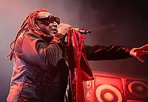 Skindred едут в тур 2026