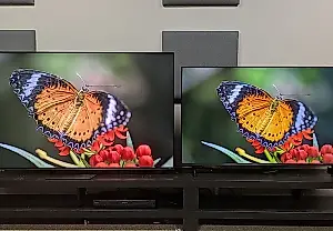 Televisor RGB económico frente a Mini-LED: ¿cómo se comportaron uno al lado del otro?