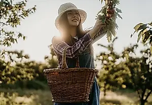 Ayuda para los agotados: cómo cuidar el jardín después de la cosecha