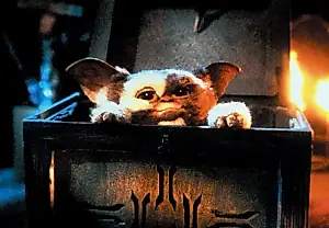 Fans locos, VHS y «Gremlins»: casi tres horas de monstruos olvidados