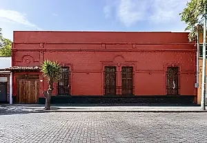 Новая премия Fundación Kahlo поддержит молодых художников из Мексики