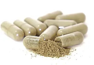 Ginseng contra la vejez: las ratas estadounidenses se vuelven más listas a ojos vista