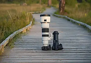 Sony RX10 V frente a la Sony profesional: guerra por los pájaros y los píxeles