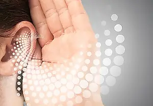 El oído interno capta los infrasonidos mediante electricidad