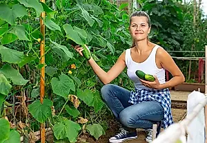 ¿Cuándo instalar soportes para las plantas en la casa de campo?
