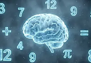 Madurez cerebral: matemáticas sin contar con los dedos