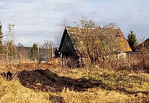 Как не лишиться дачи: что грозит за запущенный участок