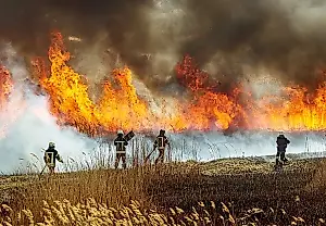 El humo de los incendios forestales vuelve locos a los niños