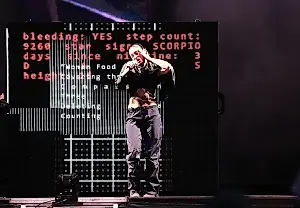 Lorde показала новый трек на Governor’s Ball