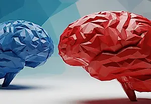 La política en el cerebro: ¿quién tiene los cables cruzados?