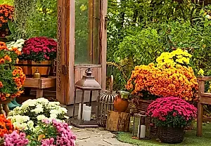 El jardín de flores se prepara para la temporada