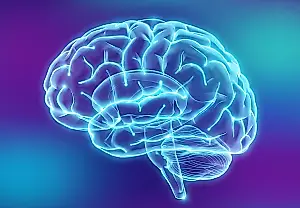 Un cerebro sin estereotipos de género