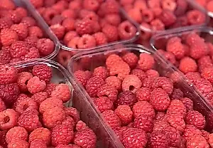 Малина: опасные мифы
